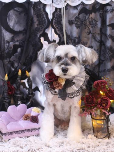 20231004来夢ちゃん